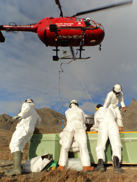 Mission staff loading bait into helicopter buckets on South Georgia Island in the southern Atlantic.